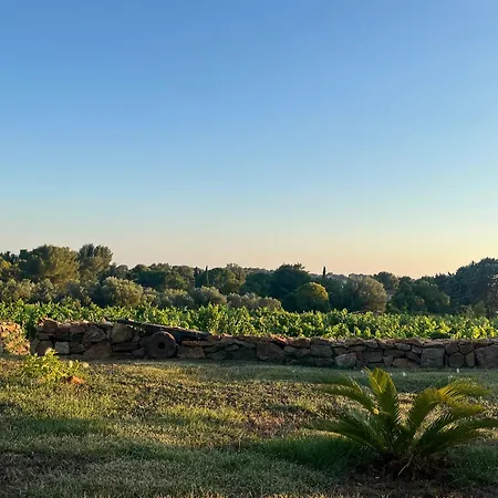 Apartment Dans Les Vignes Avec Acces Piscine Sanary-sur-Mer