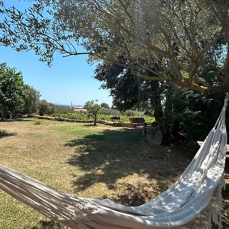 Dans Les Vignes Avec Acces Piscine Sanary-sur-Mer