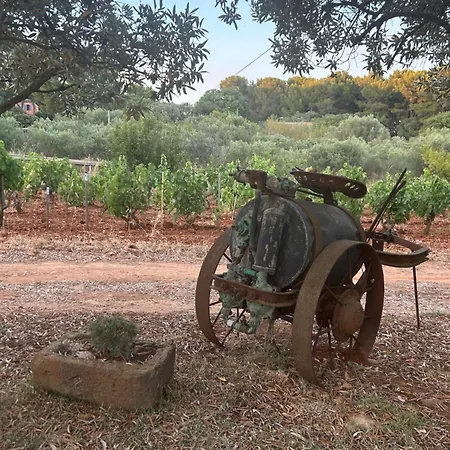 Dans Les Vignes Avec Acces Piscine